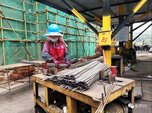 福建鑫鷺鎢制品深加工項目 防疫復工雙管齊下，建筑勞務分包助力建設有序推進
